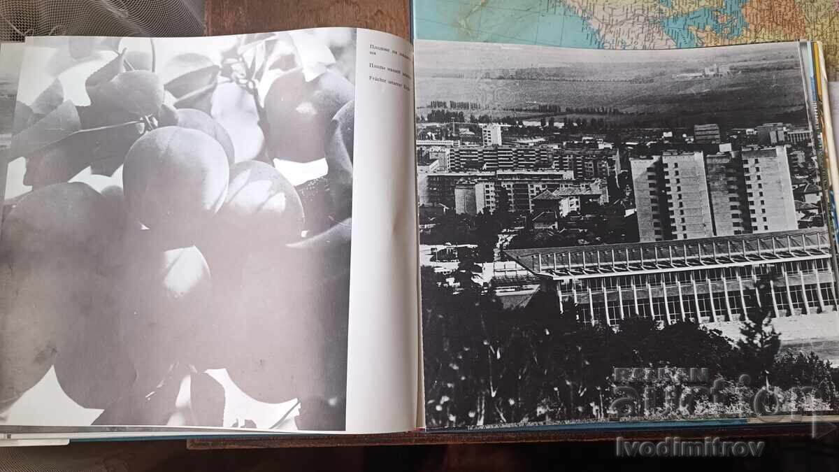 Vidritsa - Pop Mincho Kanchev 1983 - 7 Vidritsa - Pop Mincho Kanchev 1983 - 7