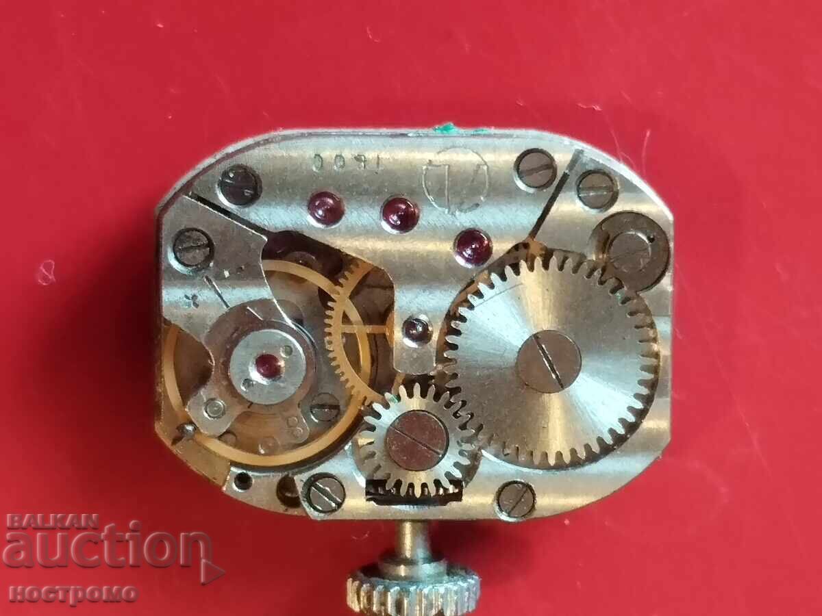 Licitație Mașină de tuns funcțională - A 6041