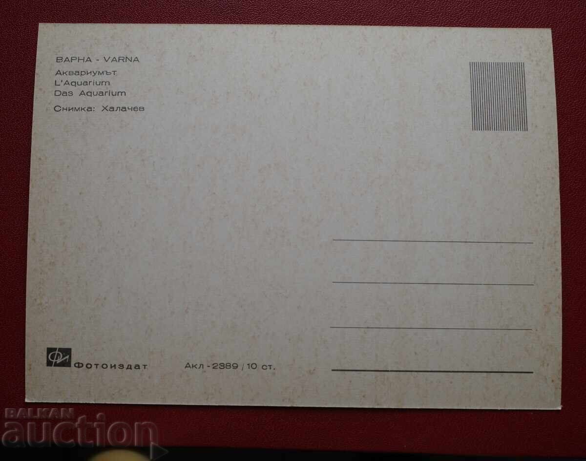 Varna cu preț € 0.51 | 1.00 BGN