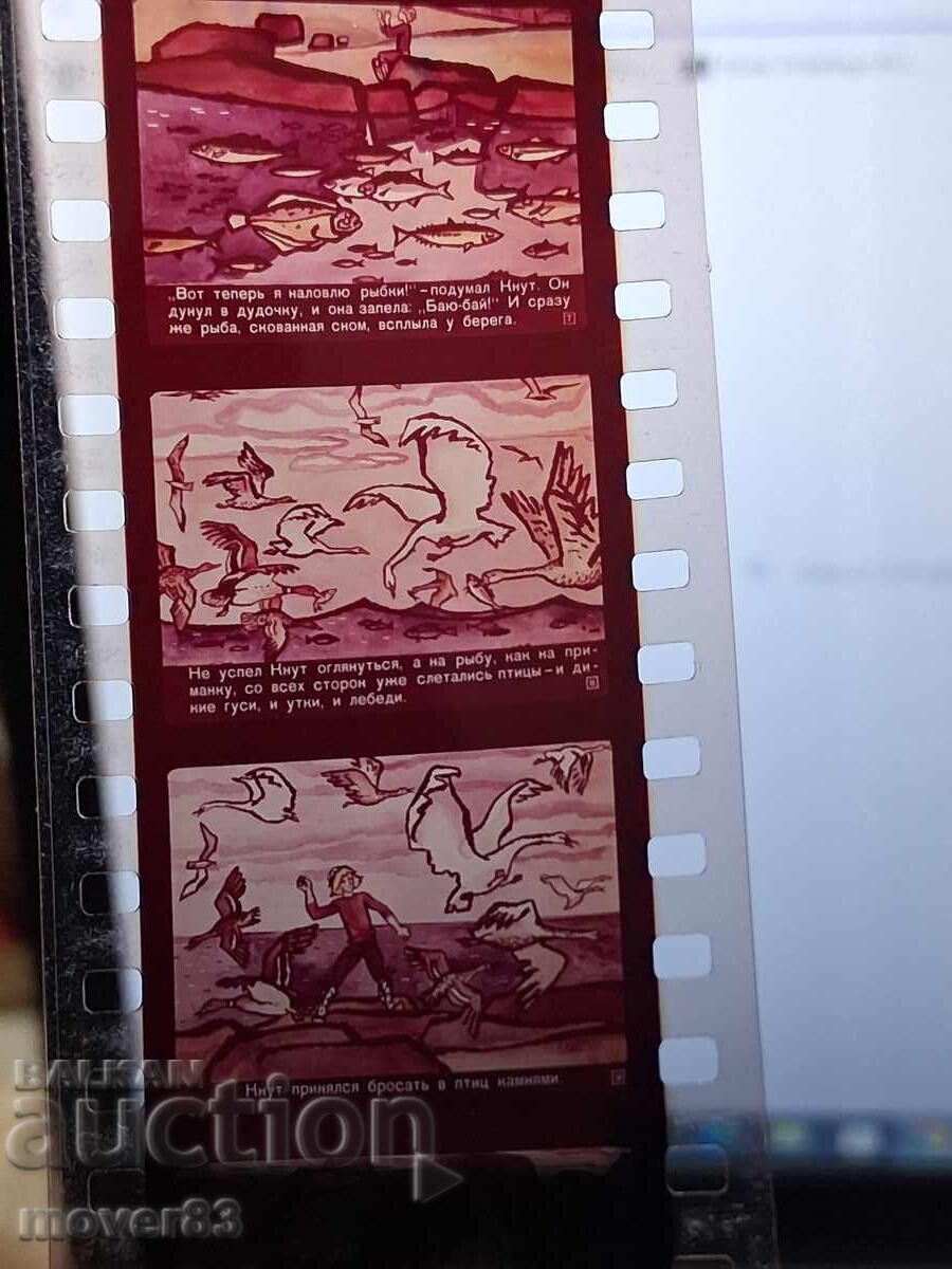 Licitație Diafilm "Knut-muzicant". URSS Licitație Diafilm "Knut-muzicant". URSS