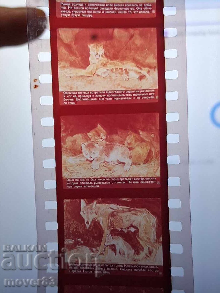 Licitație Diafilm "Albă Zăpadă". URSS Licitație Diafilm "Albă Zăpadă". URSS