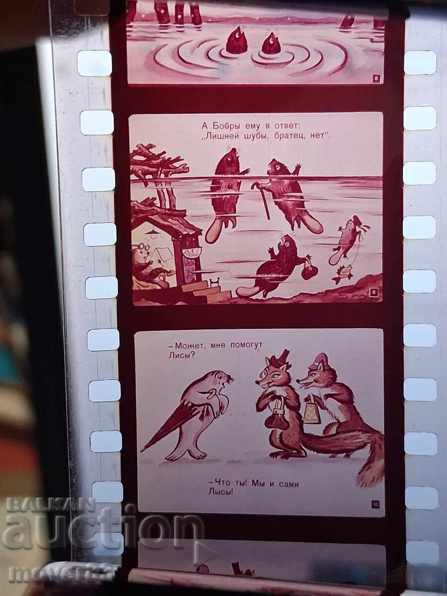 Licitație Diafilm "Cum a devenit foca focă". URSS Licitație Diafilm "Cum a devenit foca focă". URSS