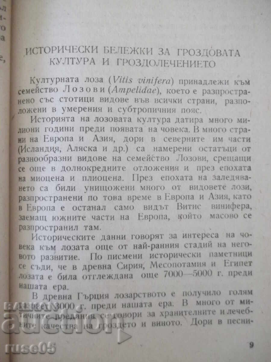Аукцион Книга "Гроздолечение - Ст. Стаматов" - 52 стр.