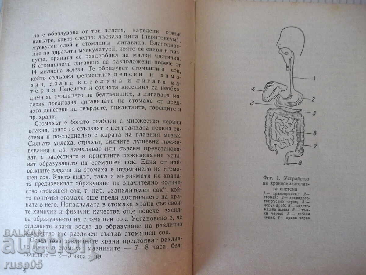 Auction Book "Diet and Nutrition for Stomach and ... - H. Brailski" - 48 pages Auction Book "Diet and Nutrition for Stomach and ... - H. Brailski" - 48 pages