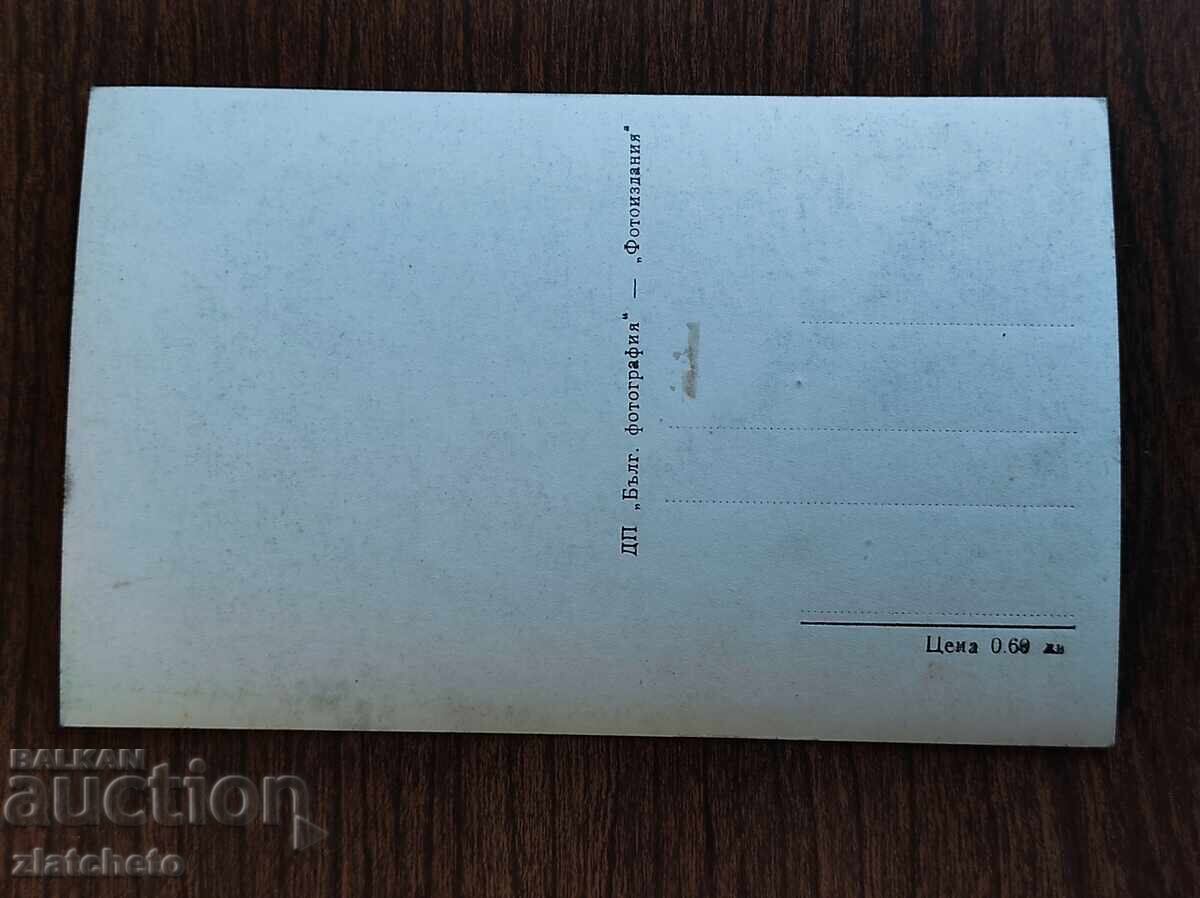 Пощенска Карта България - Стрелча с цена 4.00 лв. | € 2.05 Пощенска Карта България - Стрелча с цена 4.00 лв. | € 2.05