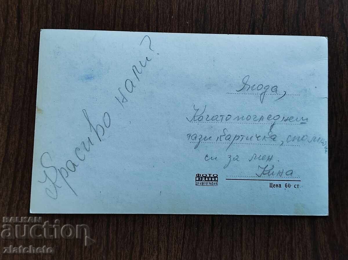 Пощенска Карта България - Горна Оряховица с цена € 2.05 | 4.01 лв.