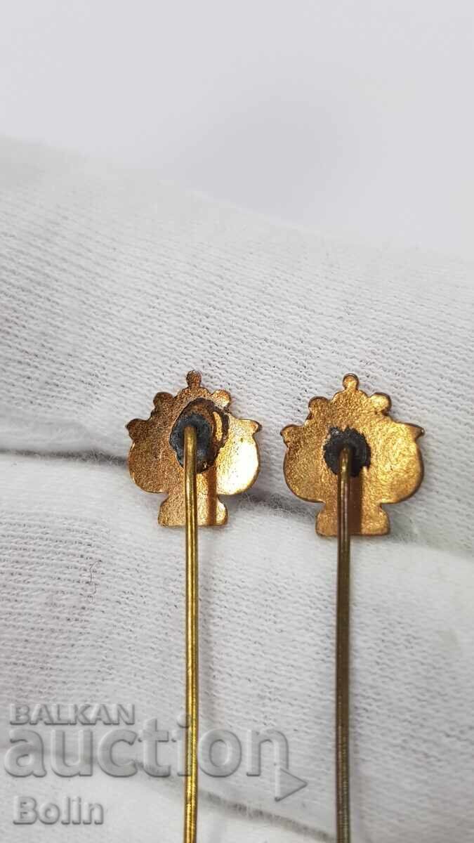 Semn regal, insigne Muzicale cu aurire și email - 6