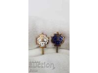 Βασιλικό σήμα, κονκάρδες Μουσικής με επιχρύσωση και σμάλτο