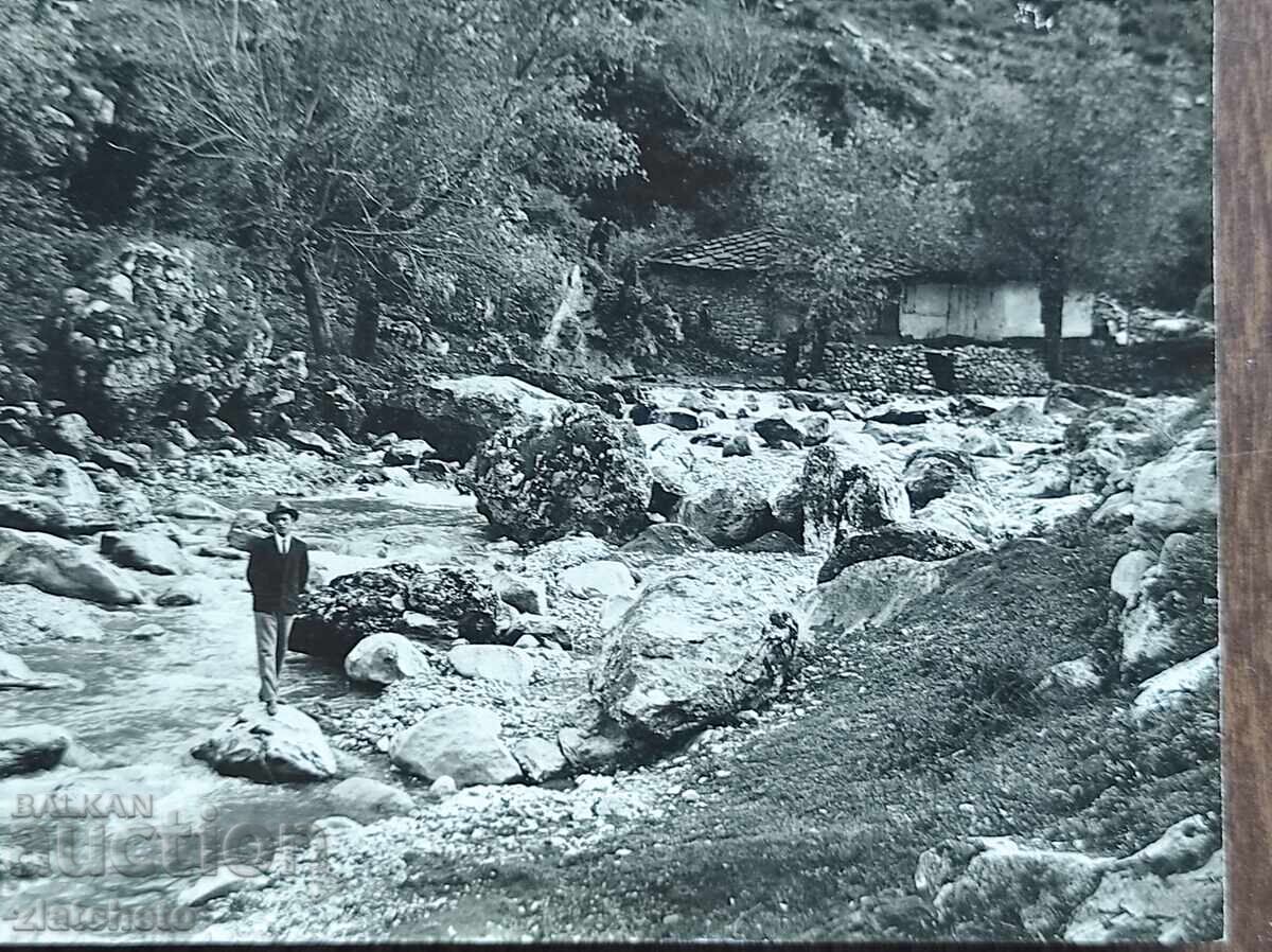 Φωτογραφία Βασιλείου της Βουλγαρίας - με τιμή € 7.67 | 15.00 BGN Φωτογραφία Βασιλείου της Βουλγαρίας - με τιμή € 7.67 | 15.00 BGN