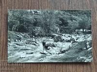 Φωτογραφία Βασιλείου της Βουλγαρίας -