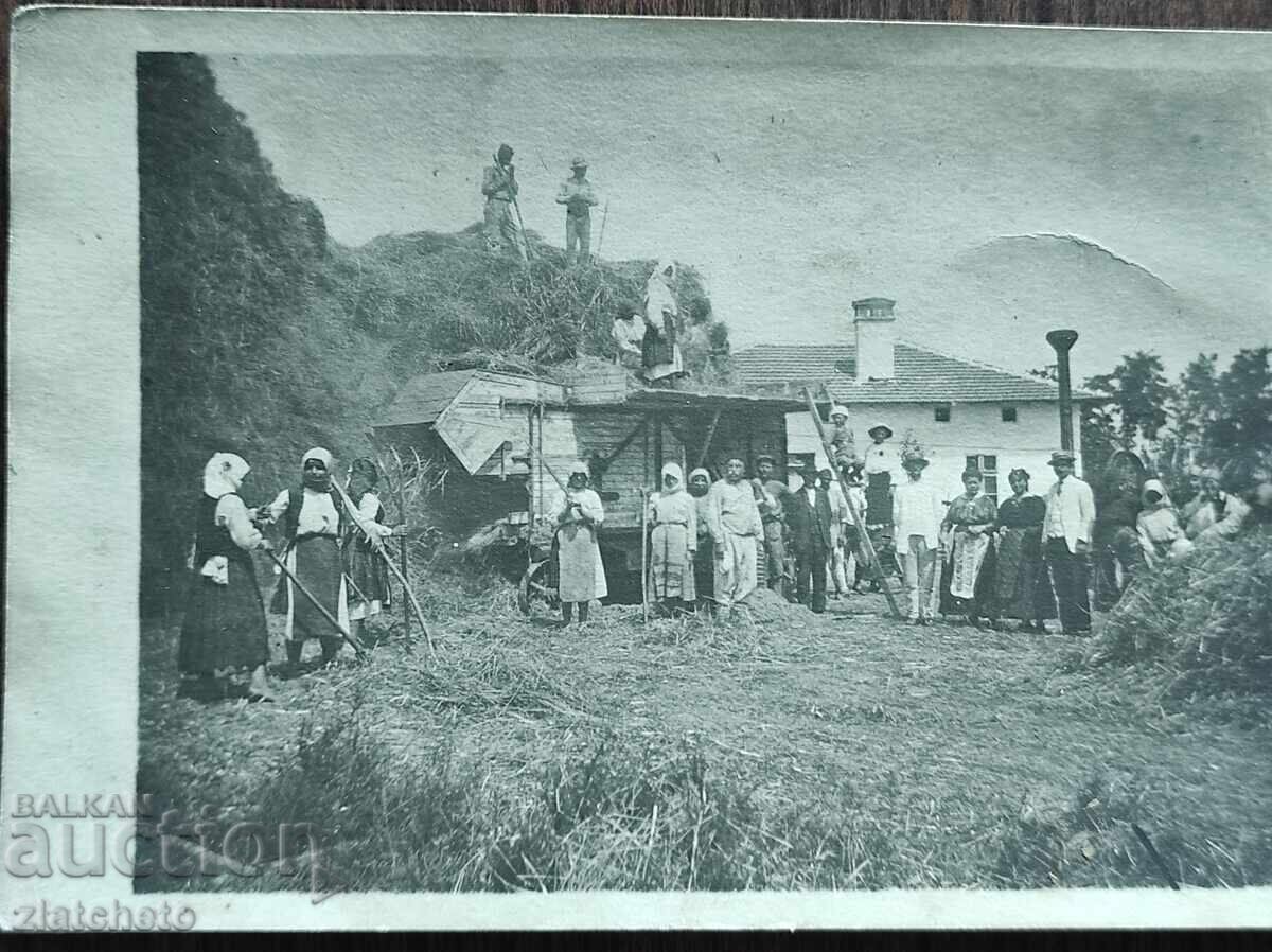 Снимка Царство България - с цена € 2.56 | 5.01 лв. Снимка Царство България - с цена € 2.56 | 5.01 лв.