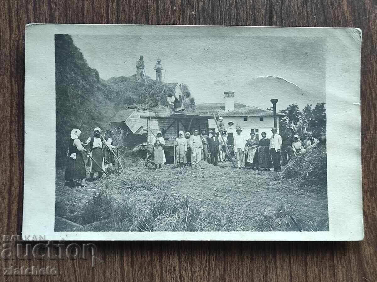 Снимка Царство България - Снимка Царство България -