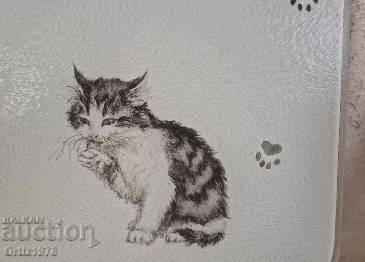 Placă de scris uriașă, din sticlă securizată – pictată, 50/40cm cu preț € 36.81 | 71.99 BGN