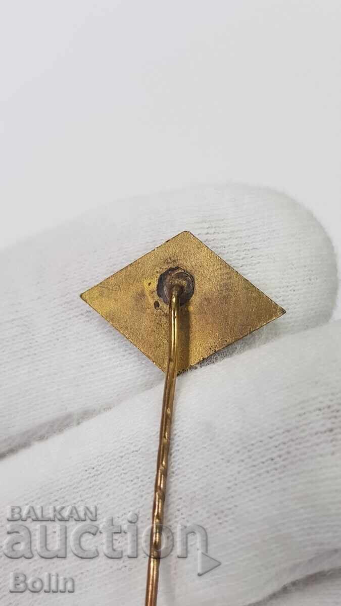 Delivery of Rare Royal Insignia, Badge "Prosveta" 1879-1929 "ISMG"