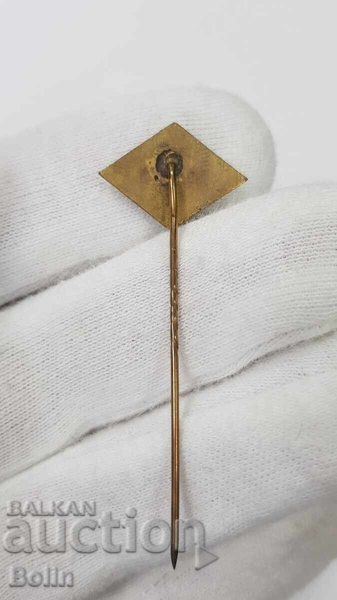 Rare Royal Insignia, Badge "Prosveta" 1879-1929 "ISMG" - 5