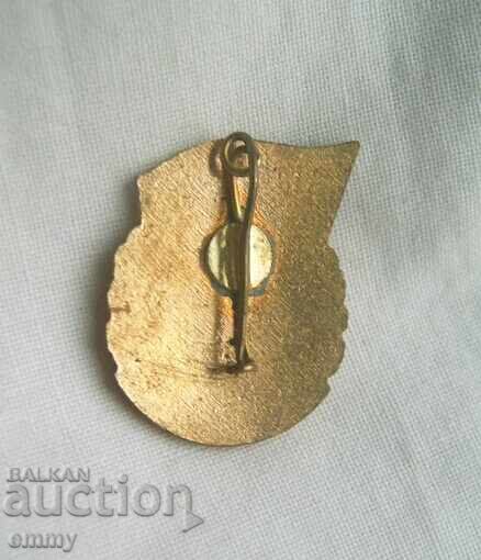 Παράδοση Σήμα Ρουμανίας - Βετεράνος του αντιφασιστικού πολέμου. Σμάλτο Παράδοση Σήμα Ρουμανίας - Βετεράνος του αντιφασιστικού πολέμου. Σμάλτο