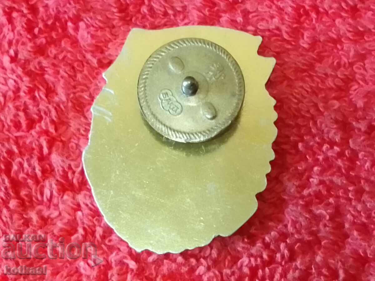 Auction Star Metal Badge EXCELLENT in Combat and Political Training Auction Star Metal Badge EXCELLENT in Combat and Political Training