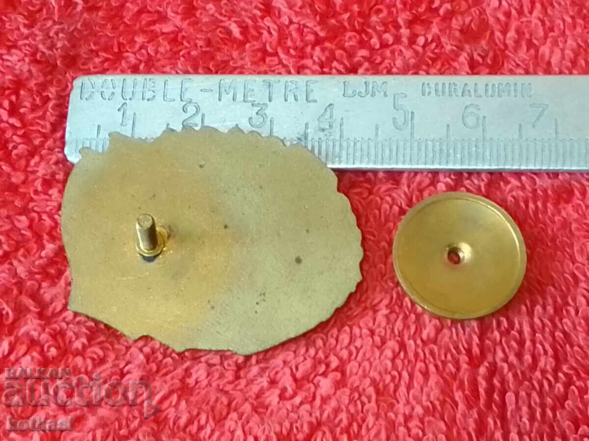 Semn distinctiv bronz EXCELENT la pregătire de luptă și politică cu preț € 9.20 | 17.99 BGN