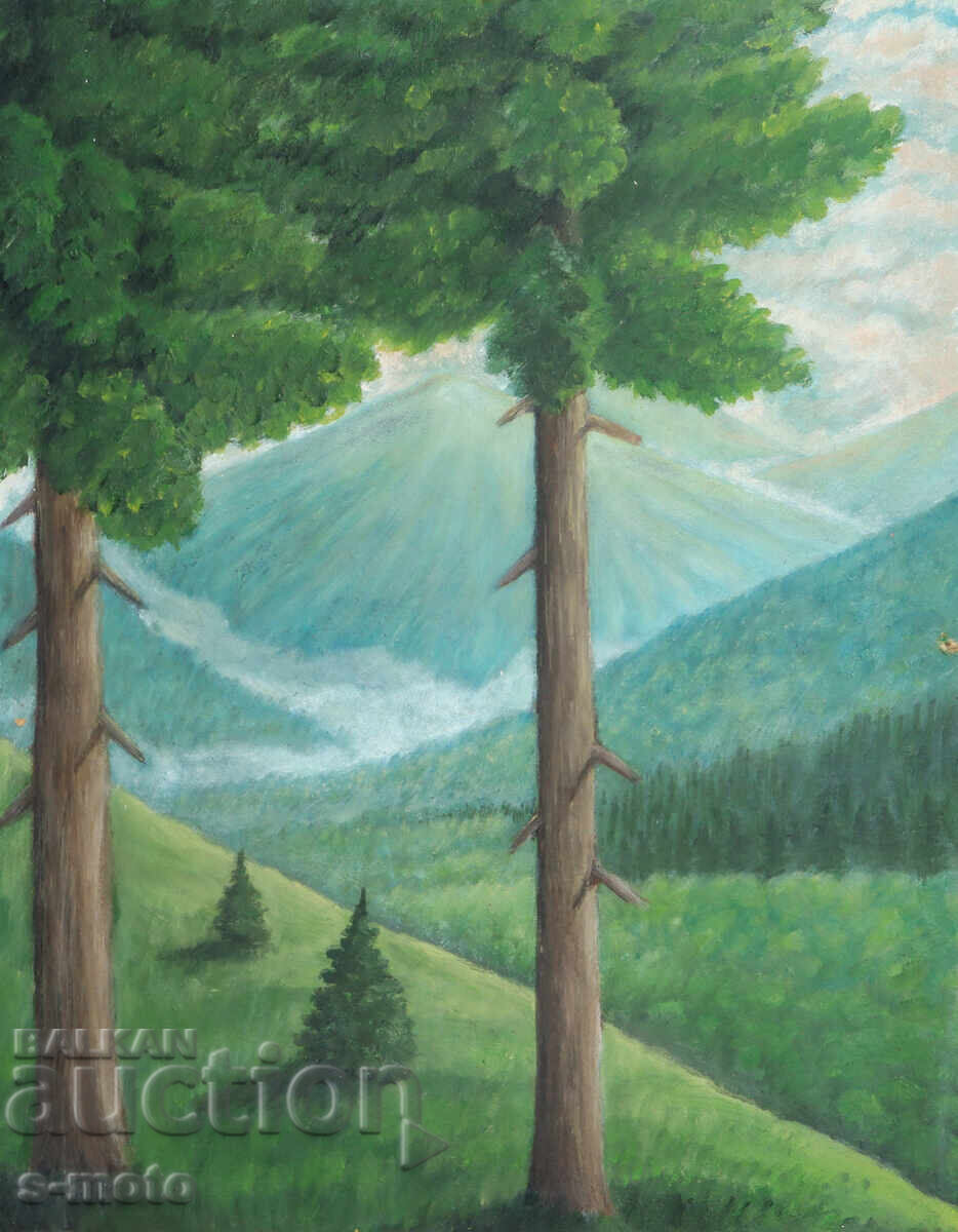 Картина маслени бои планински пейзаж с цена 200.00 лв. | € 102.26 Картина маслени бои планински пейзаж с цена 200.00 лв. | € 102.26