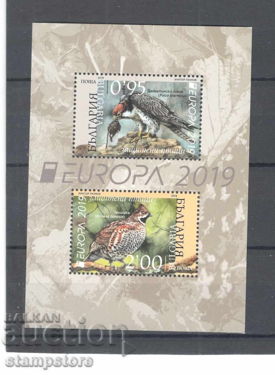 Ευρώπη - Πουλιά Ευρώπη - Πουλιά