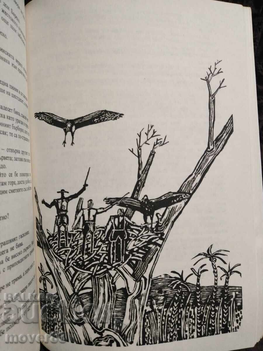 Ultimele obstrucționări. Emilio Salgari - 6