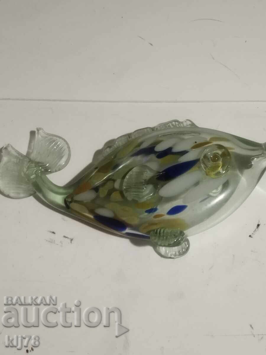 Auction Glass fish Auction Glass fish