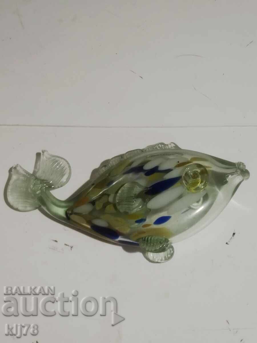 Delivery of Glass fish Delivery of Glass fish