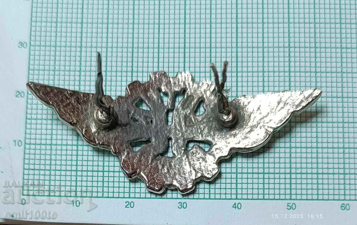 Παράδοση Κοκάρδα ΣΠΤΥΑ Ρούσε