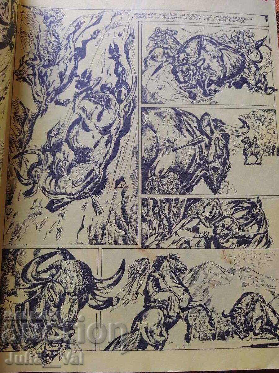 Revista - CURCUBEUL - numărul 3 - 6 Revista - CURCUBEUL - numărul 3 - 6