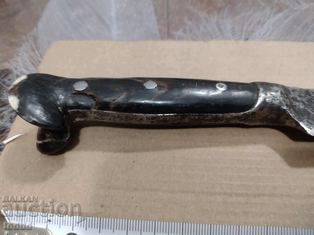 Delivery of Karaculak - Gabrovo