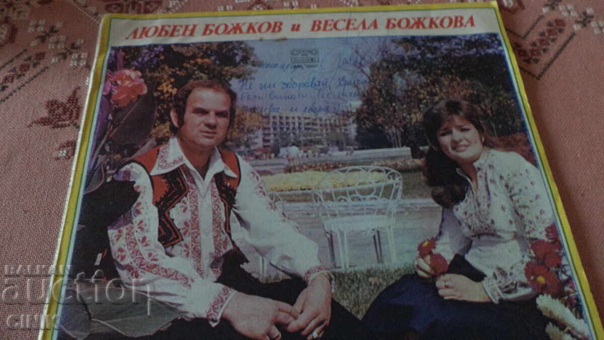 DISC DE VINIL DISC DE VINIL