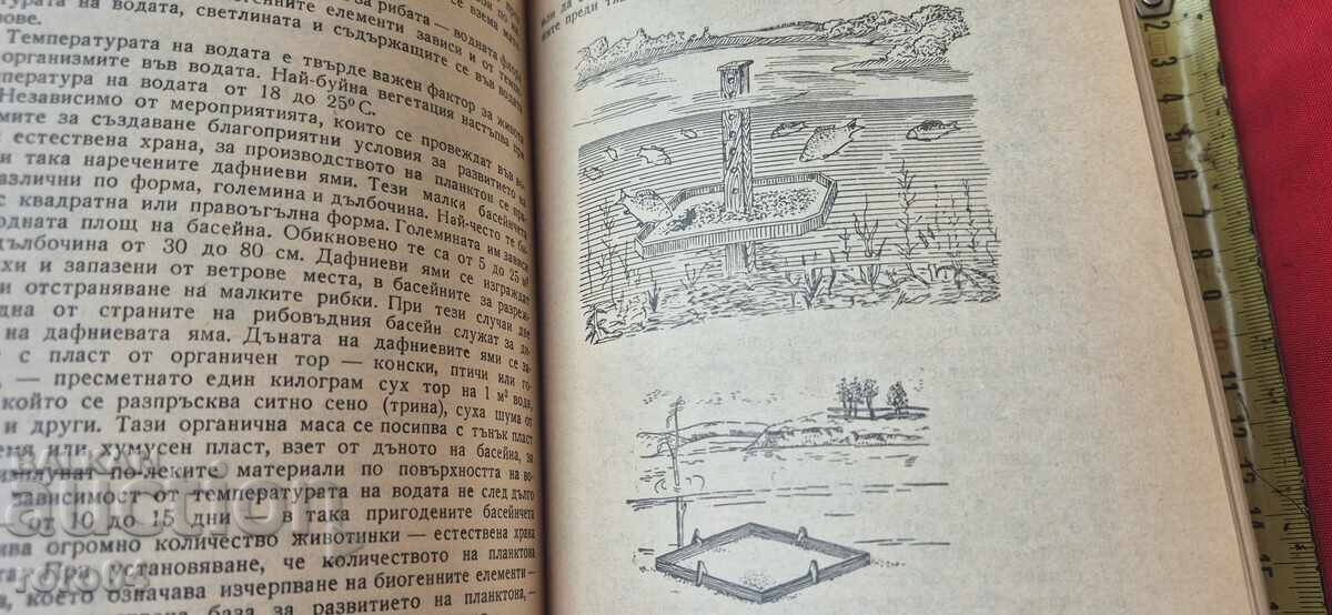 ΕΓΧΕΙΡΙΔΙΟ ΨΑΡΑ - Μ. ΝΙΣΚΟΦ / Π. ΟΡΕΣΑΡΟΦ - 5