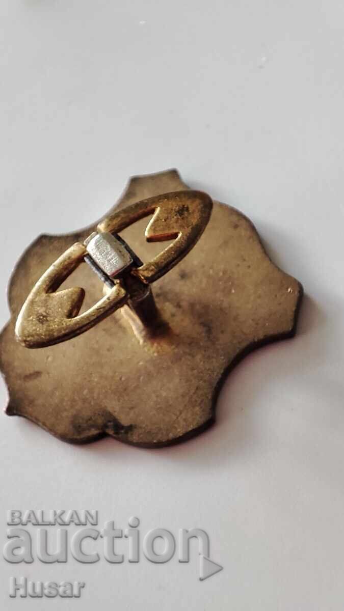 Доставка на Знак на дружеството на стрелците с мускети, Берн, 1818 г.