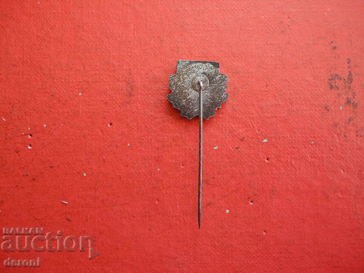 Emblemă de fotbal semn bronz email 1 - 5 Emblemă de fotbal semn bronz email 1 - 5