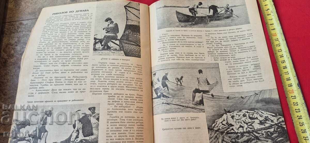 FISHERY - Year II, Issue 3 - 6