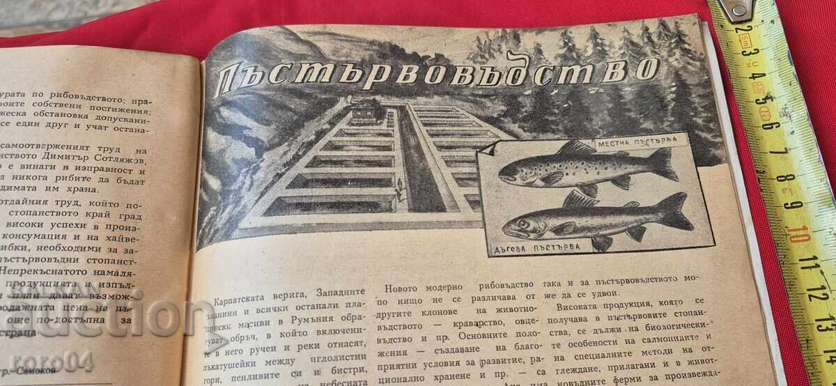 FERMA DE PEȘTI - Anul II NUMĂRUL 3 - 7