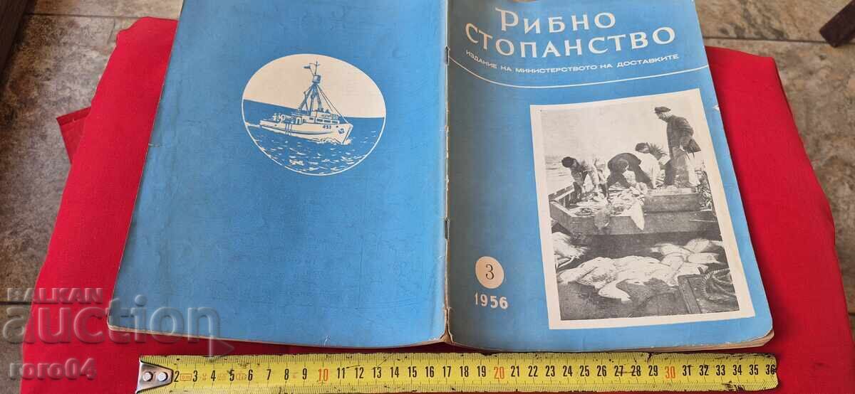 FISHERY - Year II, Issue 3