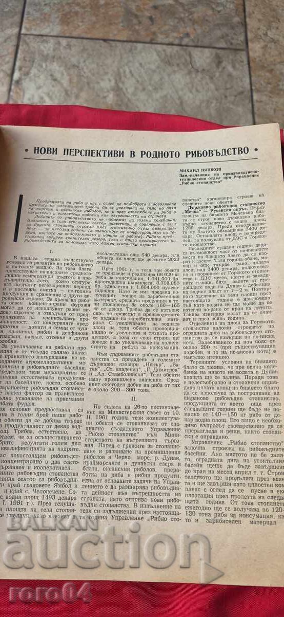 Licitație FERMĂ DE PEȘTI - NUMĂRUL 2