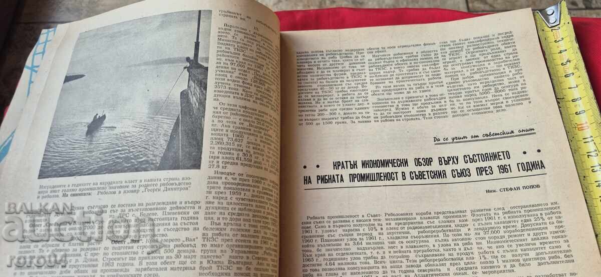 Livrarea FERMĂ DE PEȘTI - NUMĂRUL 2