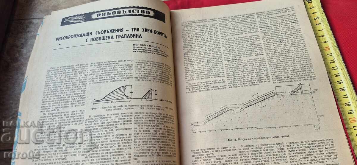 FERMĂ DE PEȘTI - NUMĂRUL 2 - 5