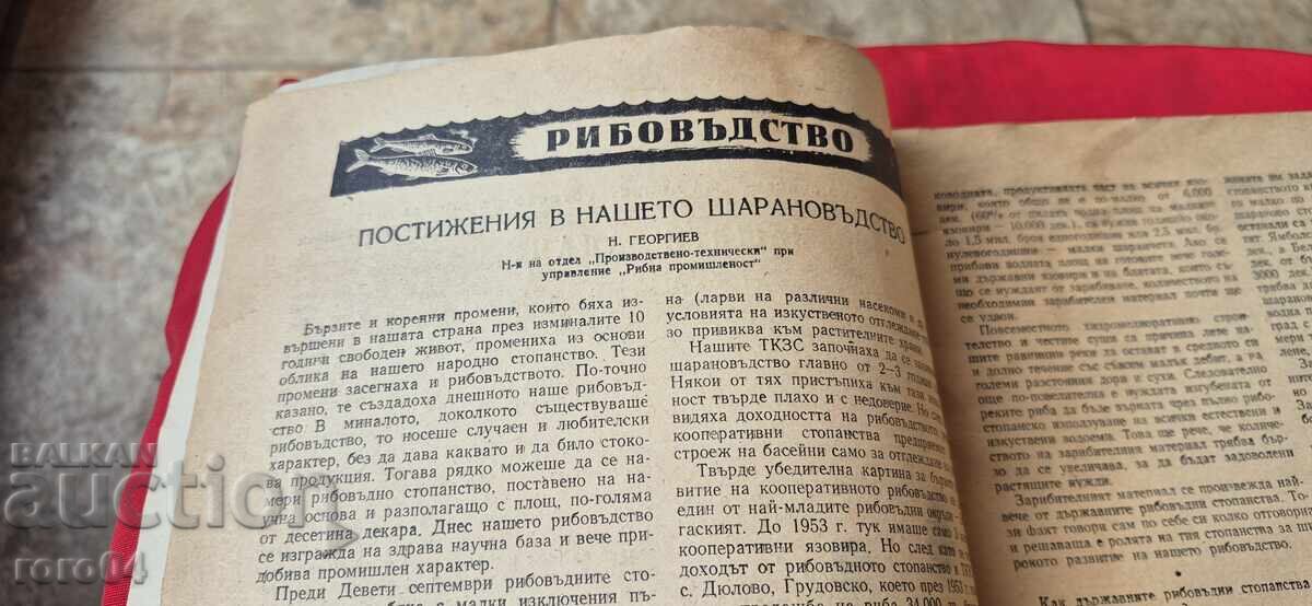 Аукцион РИБНО СТОПАНСТВО - Год. I БРОЙ 1 Аукцион РИБНО СТОПАНСТВО - Год. I БРОЙ 1