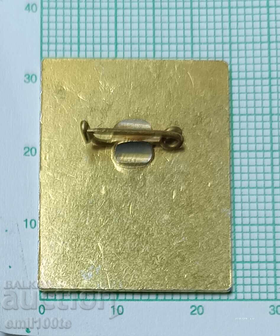 Значка- ТВК Бунтовна - 6 Значка- ТВК Бунтовна - 6