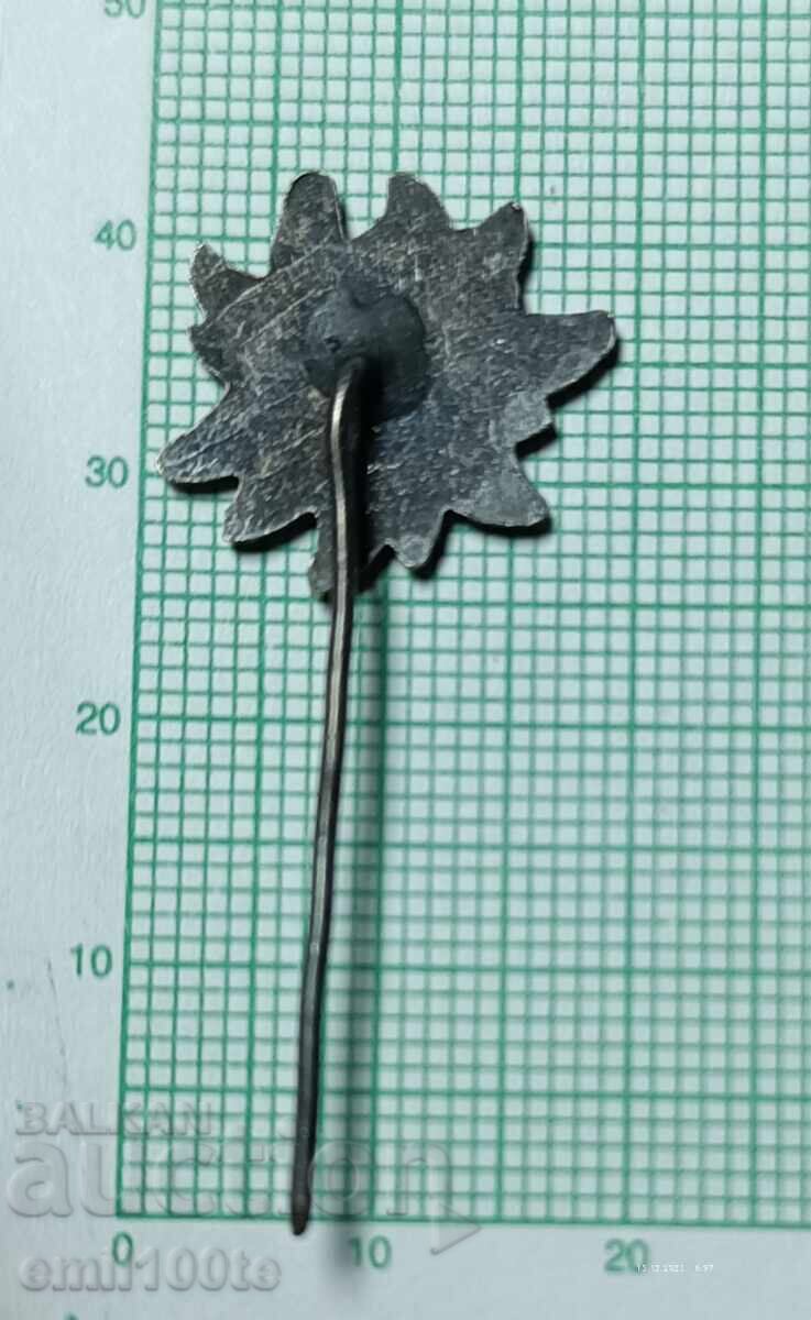 Значка- БТС Туристическо дружество Алеко София Черни връх - 7