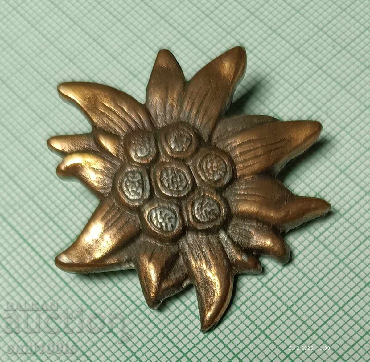 Livrarea Insigna - Edelweiss