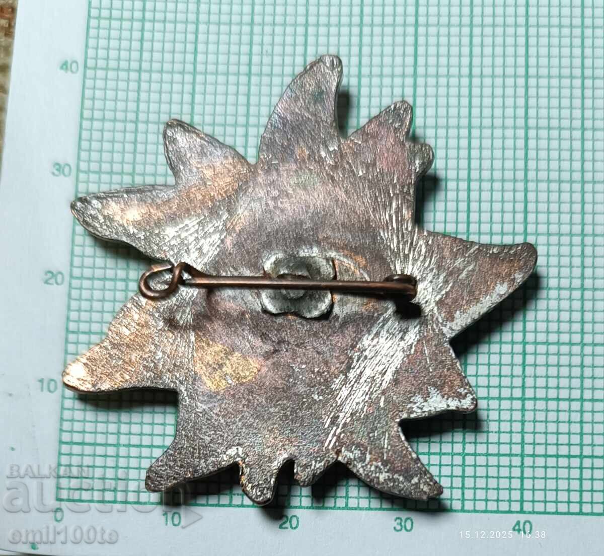 Insigna - Edelweiss - 5