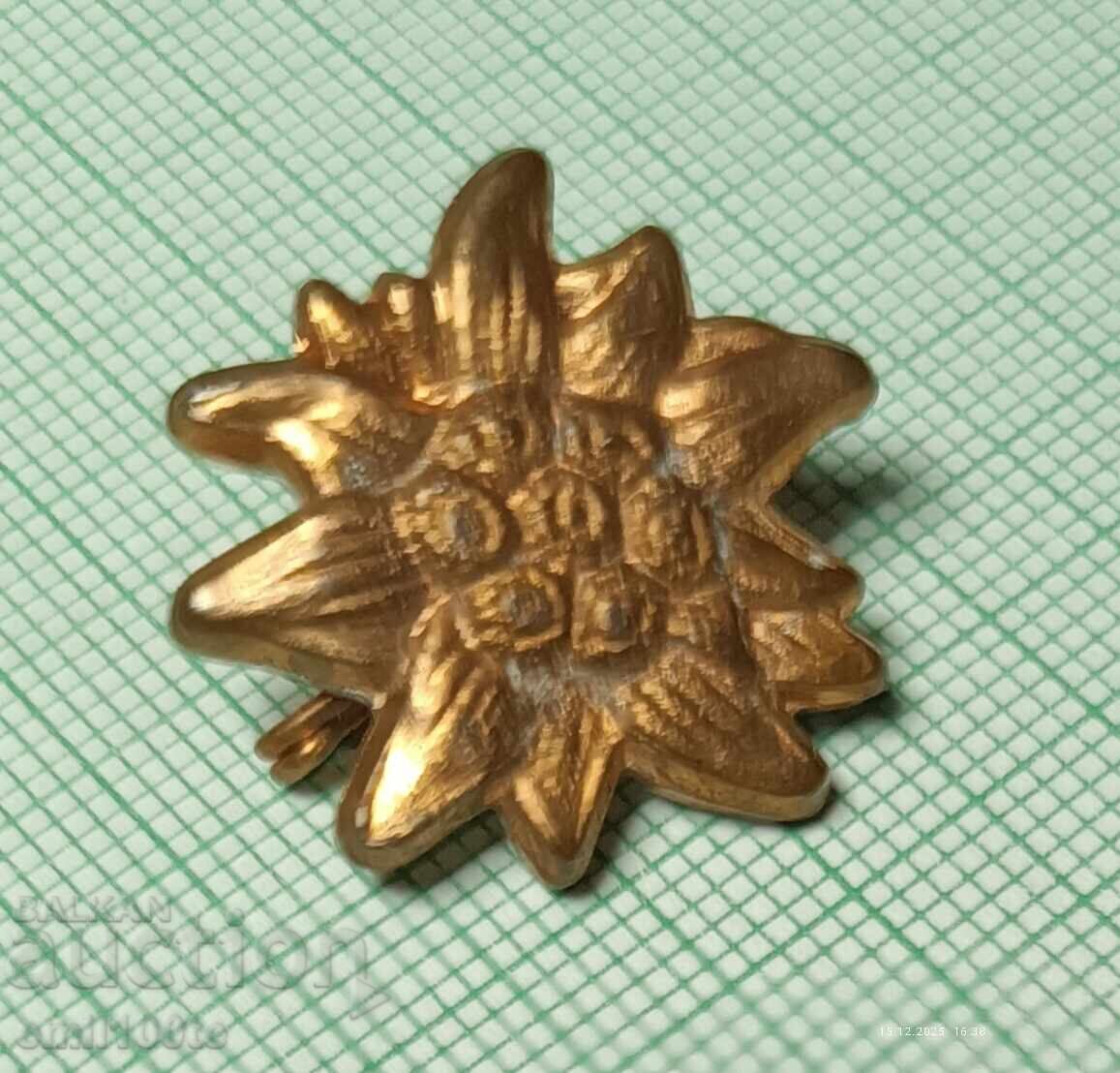 Licitație Insigna - Edelweiss Licitație Insigna - Edelweiss