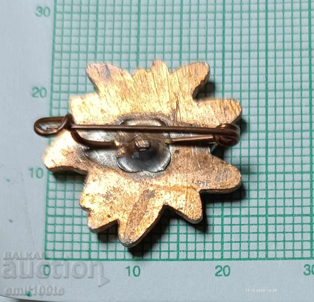 Livrarea Insigna - Edelweiss Livrarea Insigna - Edelweiss