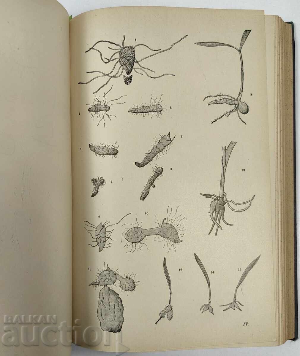 Licitație 1915 ANUARUL UNIVERSITĂȚII DIN SOFIA FIZICĂ MATEMATICĂ Licitație 1915 ANUARUL UNIVERSITĂȚII DIN SOFIA FIZICĂ MATEMATICĂ
