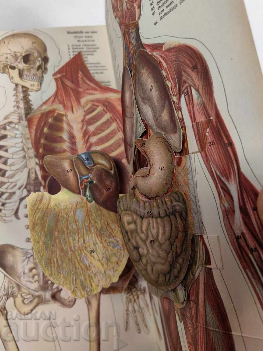 Доставка на 1939 МАЙЕРС ЛЕКСИКОН НЕМСКИ ЕЗИК