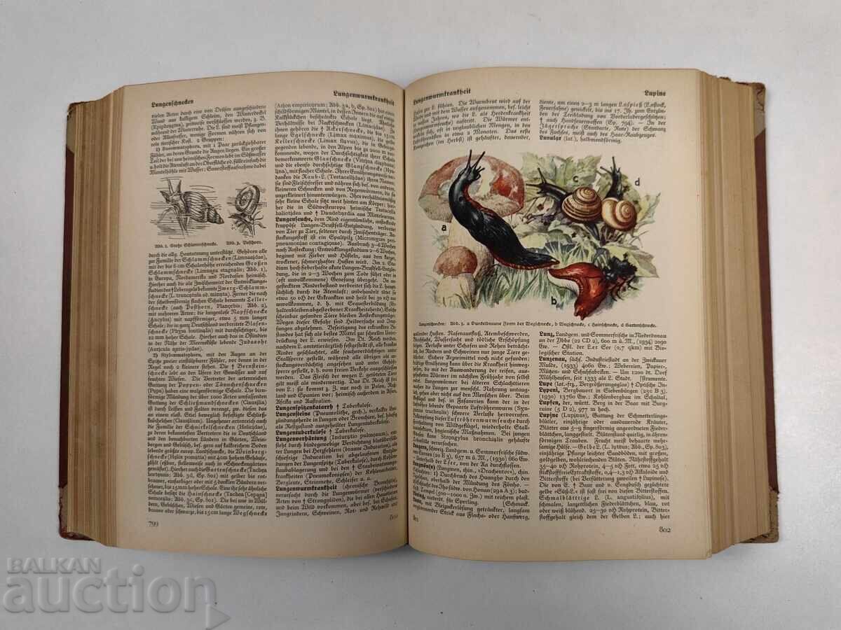 1939 МАЙЕРС ЛЕКСИКОН НЕМСКИ ЕЗИК - 5